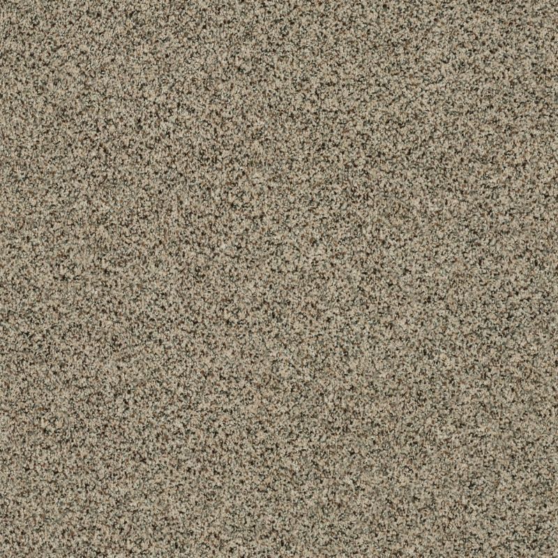 Shaw Floors Nfa/Apg Sarsenet Classic I Wensleydale