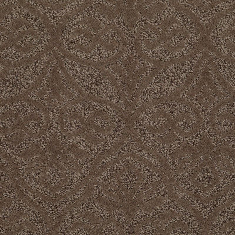 Shaw Floors Nfa/Apg Modern Times Mesquite