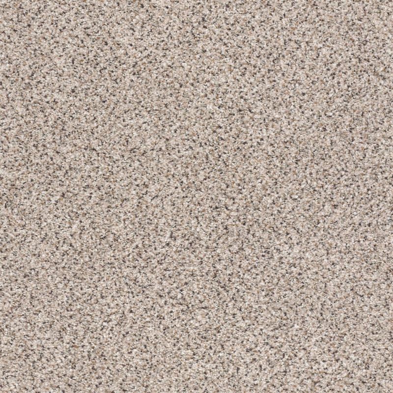 Shaw Floors Nfa/Apg Elegant Texture Accent Sculptor