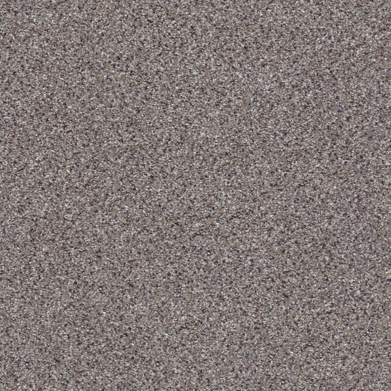 Shaw Floors Nfa/Apg Elegant Texture Accent Graphite