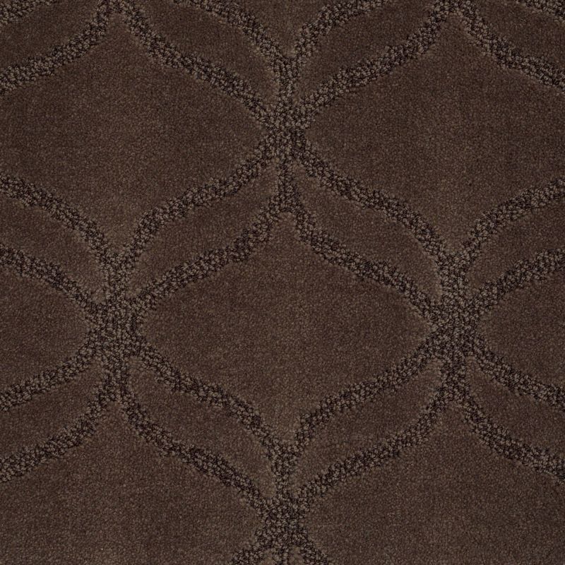 Shaw Floors Nfa/Apg Green Creek Bison