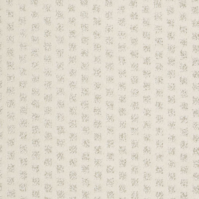 Shaw Floors Nfa/Apg Narrow Creek Soft Fleece