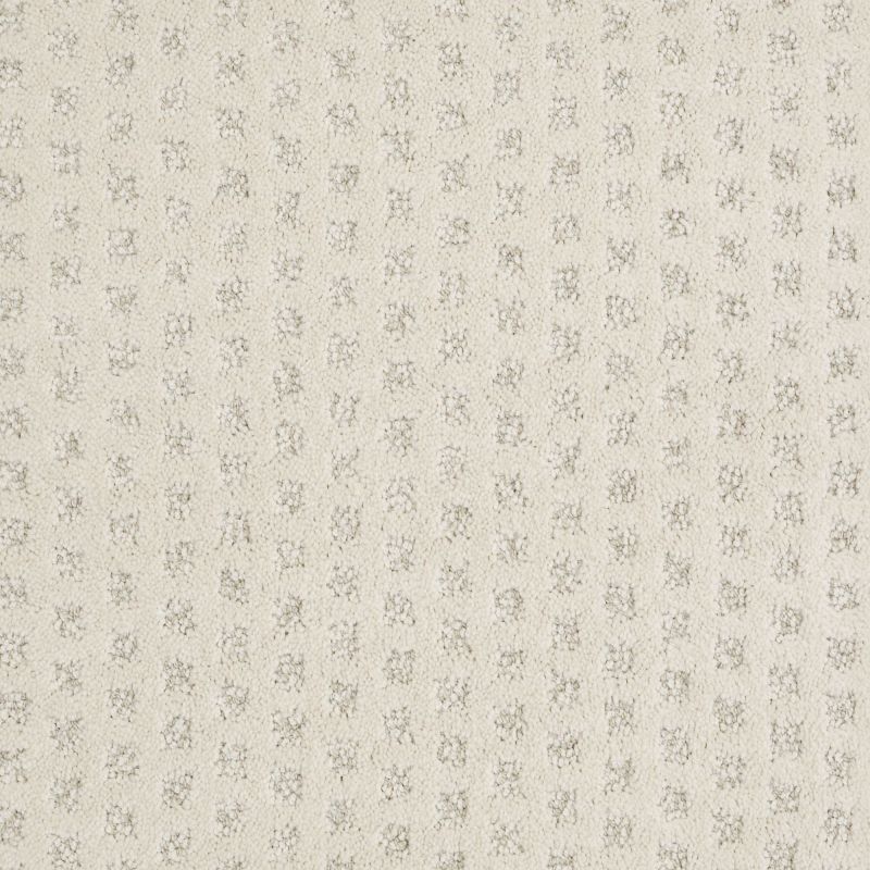 Shaw Floors Nfa/Apg Narrow Creek Mohair