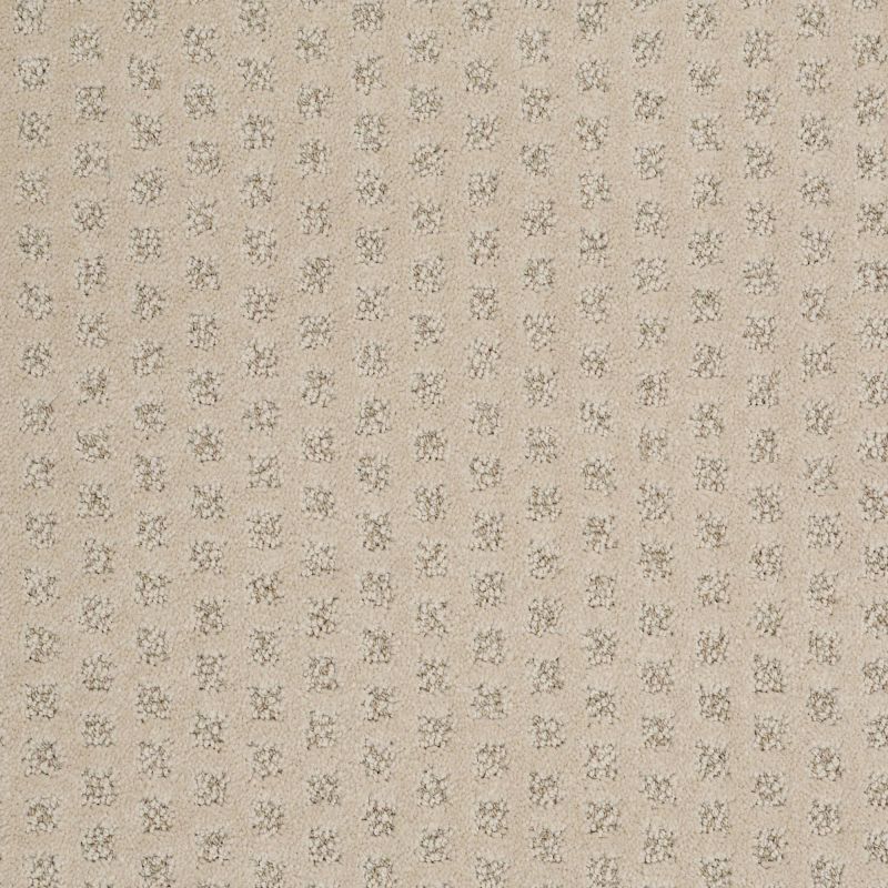 Shaw Floors Nfa/Apg Narrow Creek Ridgeway Walk