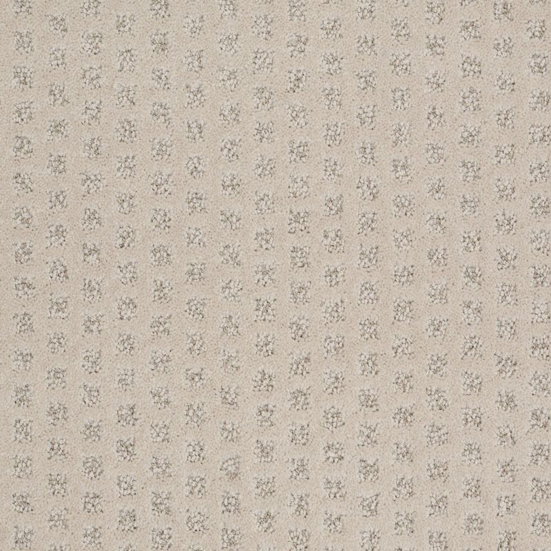 Shaw Floors Nfa/Apg Narrow Creek Amarillo