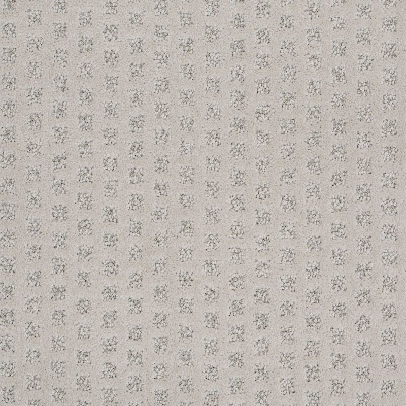 Shaw Floors Nfa/Apg Narrow Creek Plainview