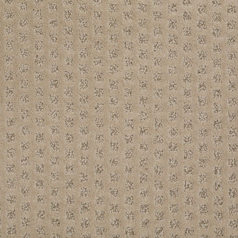 Shaw Floors Nfa/Apg Narrow Creek Llama