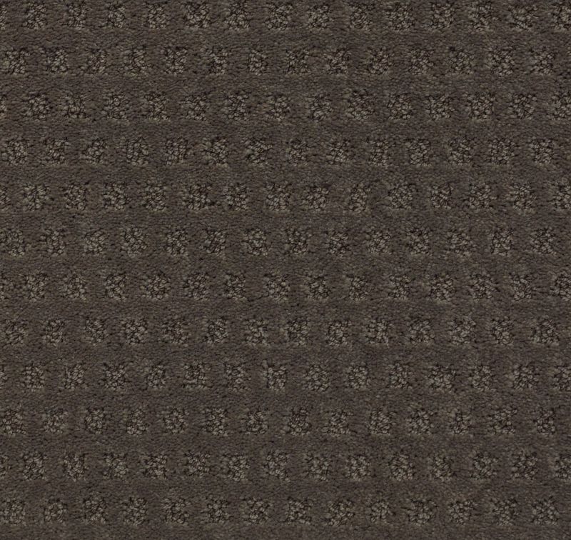 Shaw Floors Nfa/Apg Narrow Creek Glacier Park