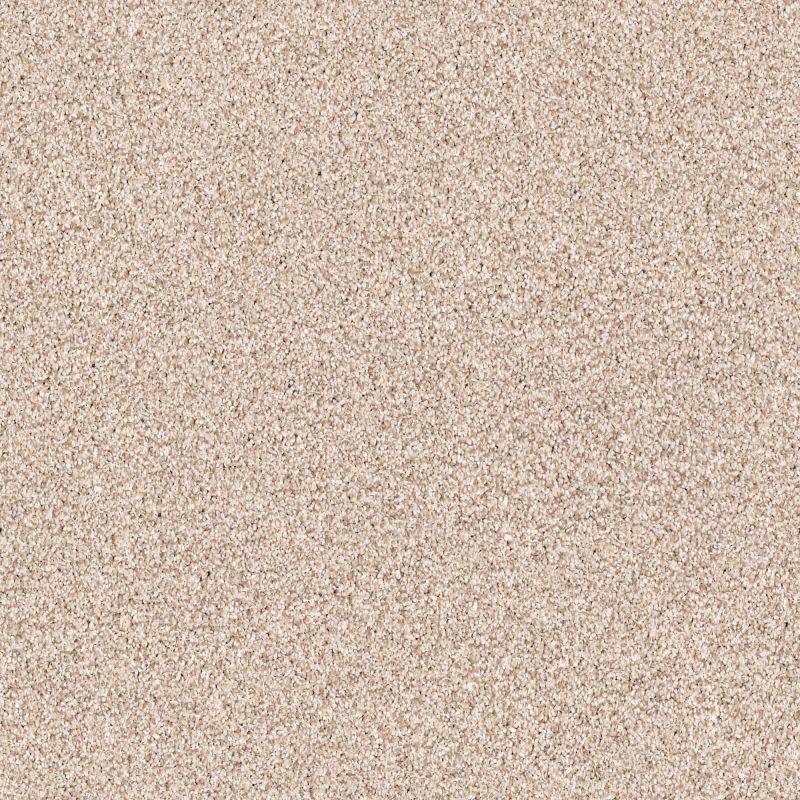 Shaw Floors Nfa/Apg Palatial River Rock