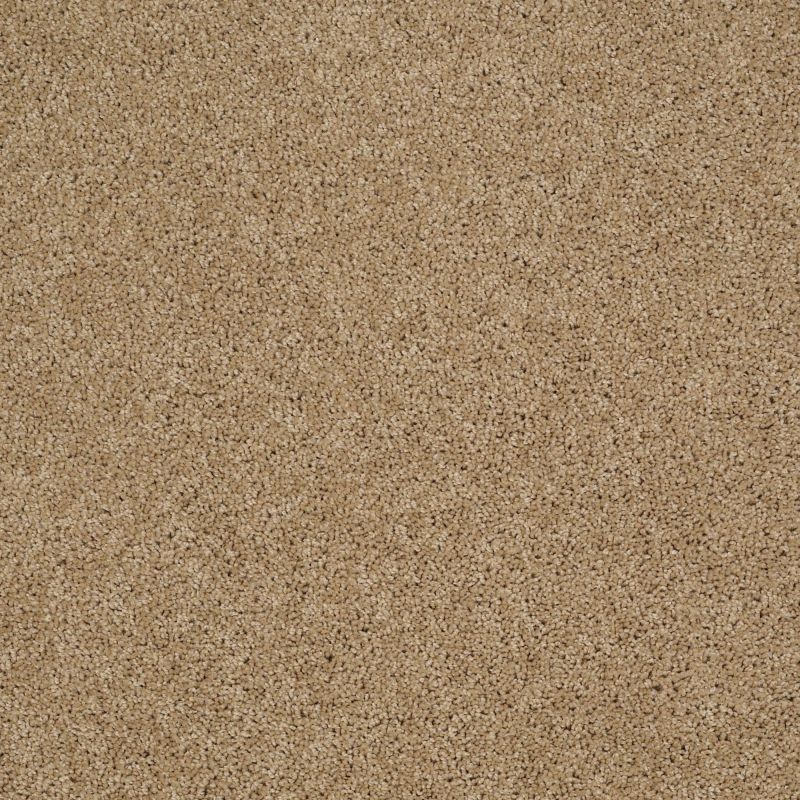 Shaw Floors Nfa/Apg Phenomenal II Natural Wood