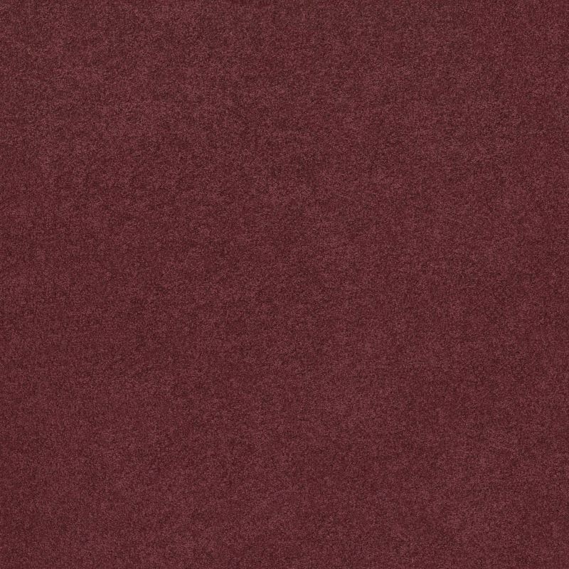 Shaw Floors Nfa/Apg Phenomenal II Monte Carlo