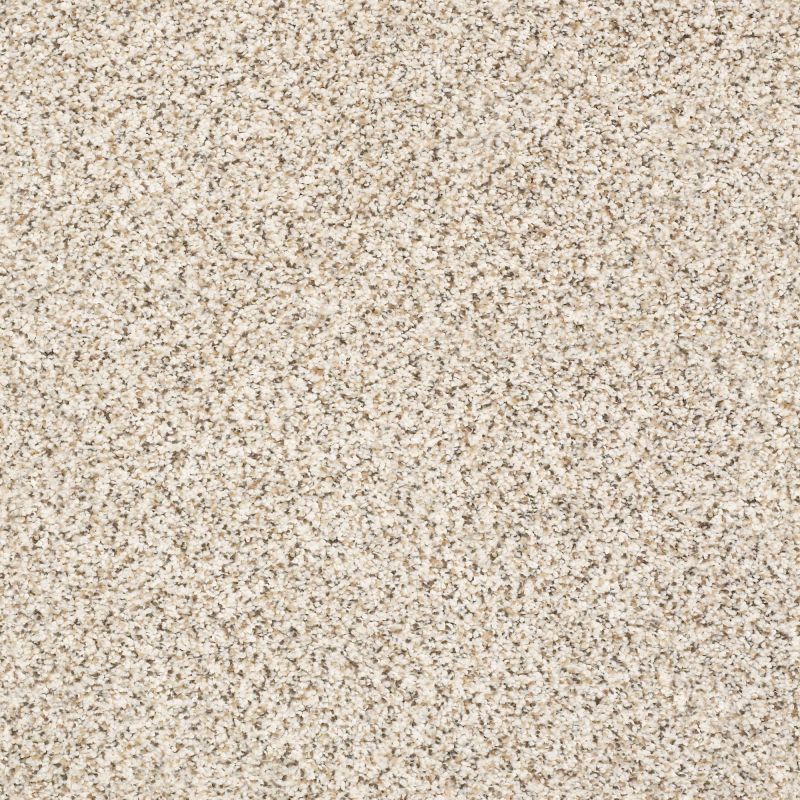Shaw Floors Nfa/Apg Vigorous Mix II Swiss Coffee