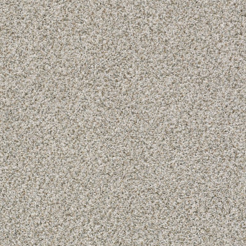 Shaw Floors Nfa/Apg Privy Trade Wind