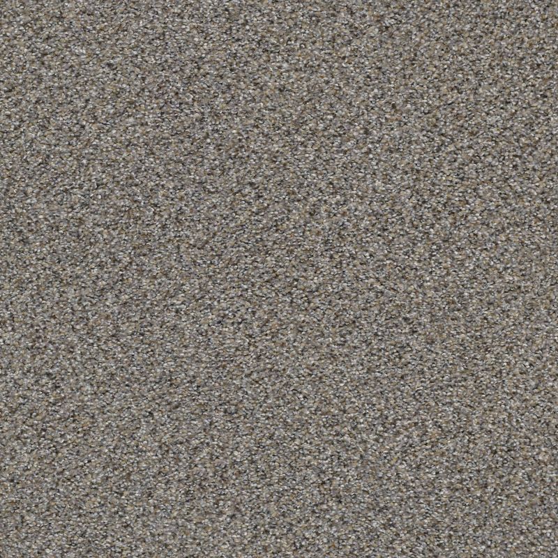 Shaw Floors Mixed Elegance III Antique Pin