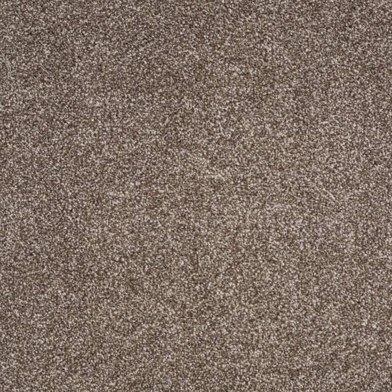 Shaw Floors Nfa/Apg On The Brink I Cobble Brown
