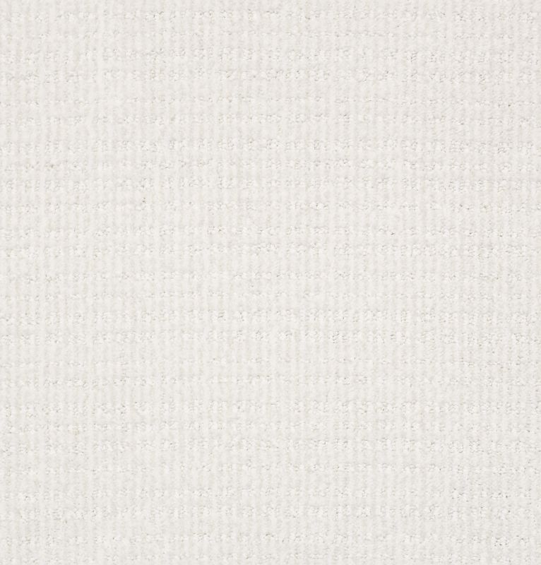 Shaw Floors Nfa/Apg Craftsman White Hot