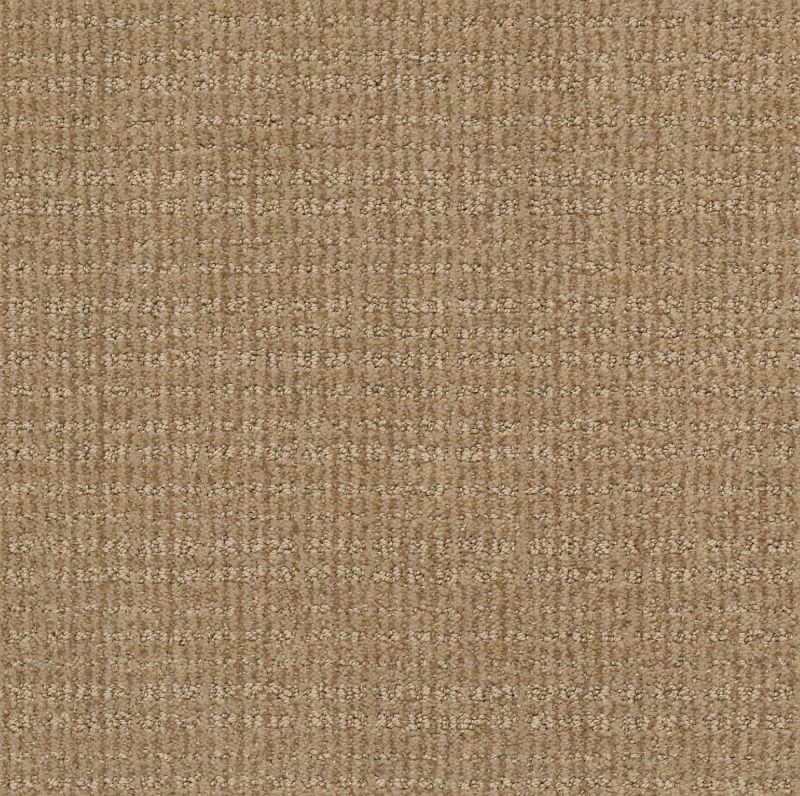 Shaw Floors Nfa/Apg Craftsman Gold Rush