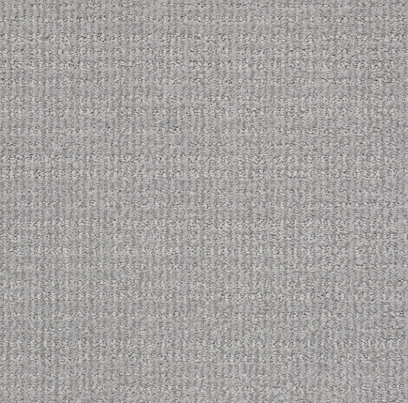 Shaw Floors Nfa/Apg Craftsman Silver Springs
