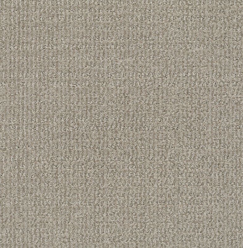 Shaw Floors Nfa/Apg Craftsman Silhouette
