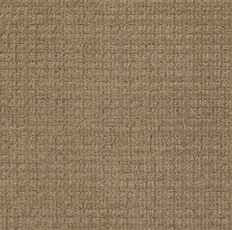 Shaw Floors Nfa/Apg Craftsman Summerville