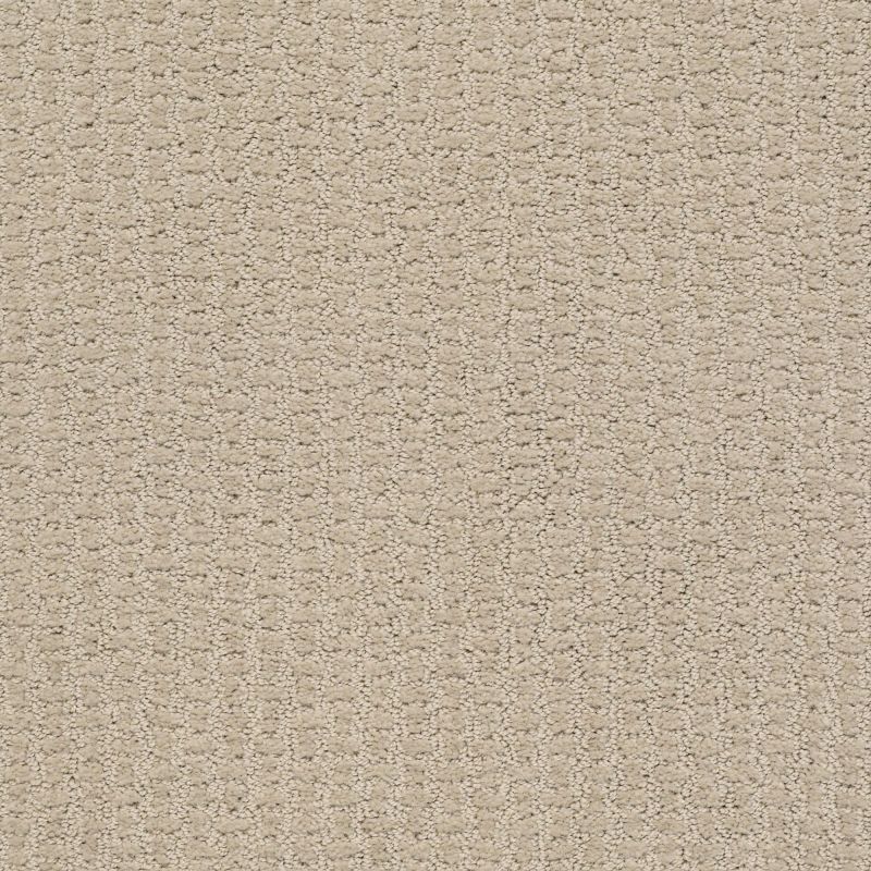 Shaw Floors Nfa/Apg Lose Control Studio Taupe