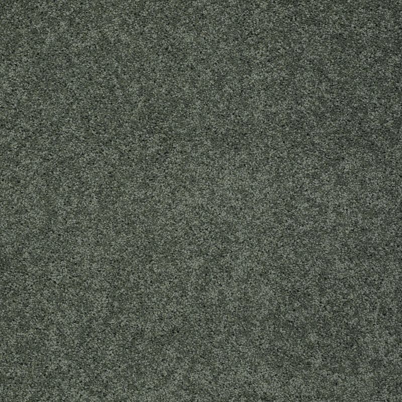 Shaw Floors Nfa/Apg Marlow II Lush Garden