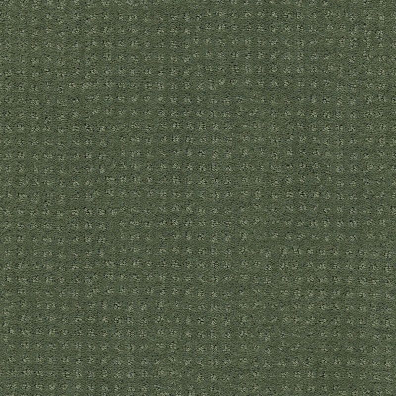 Shaw Floors Nfa/Apg Global Chic Lush Garden