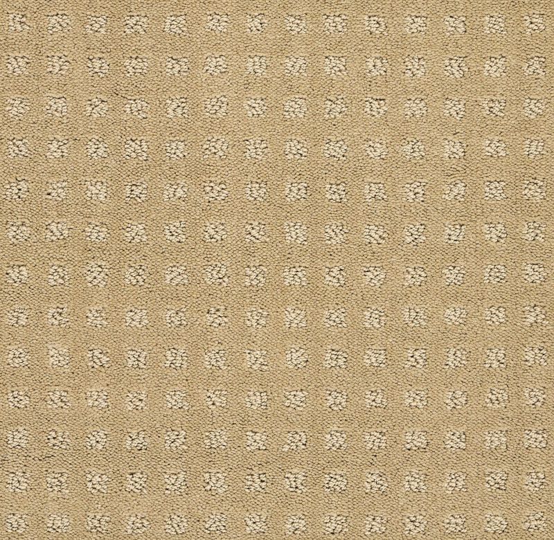 Shaw Floors Nfa/Apg Global Chic Warmth