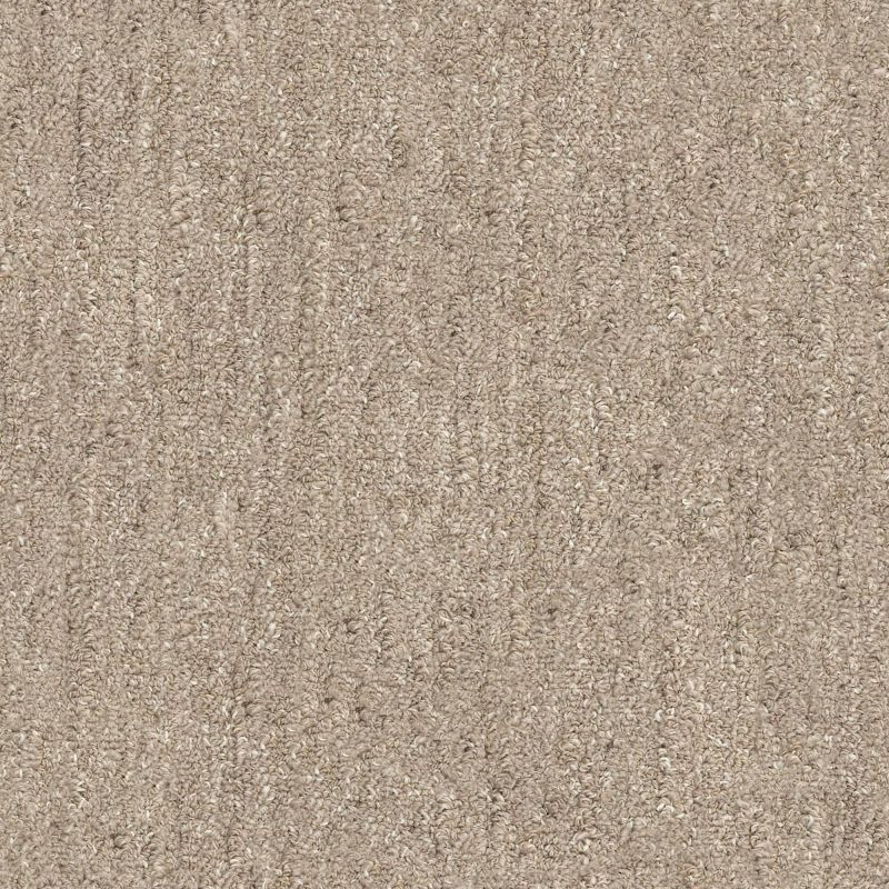 Shaw Floors Nfa/Apg Natural Escape Slate