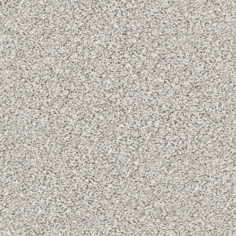 Shaw Floors Mixed Elegance I Whitewash
