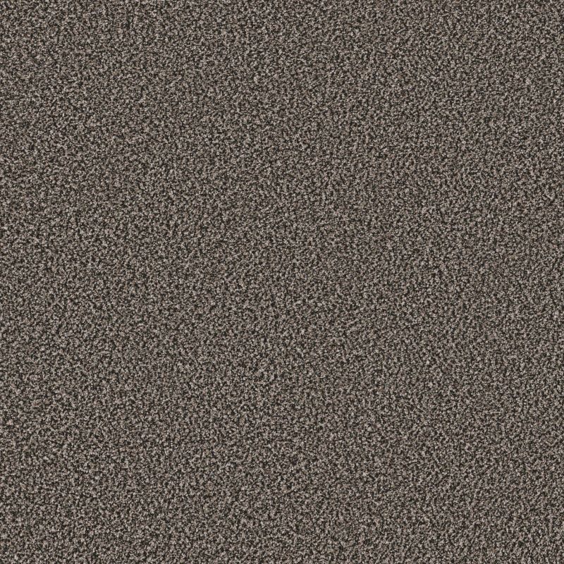 Shaw Floors Stunning I 12 Iron Age