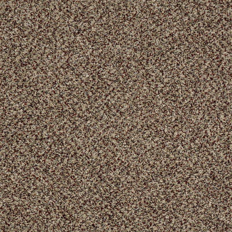 Shaw Floors Stunning II 12 Worn Path