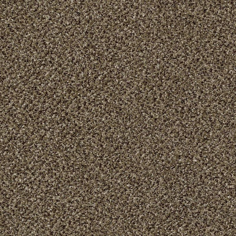 Shaw Floors Stunning III 15 Pinecone