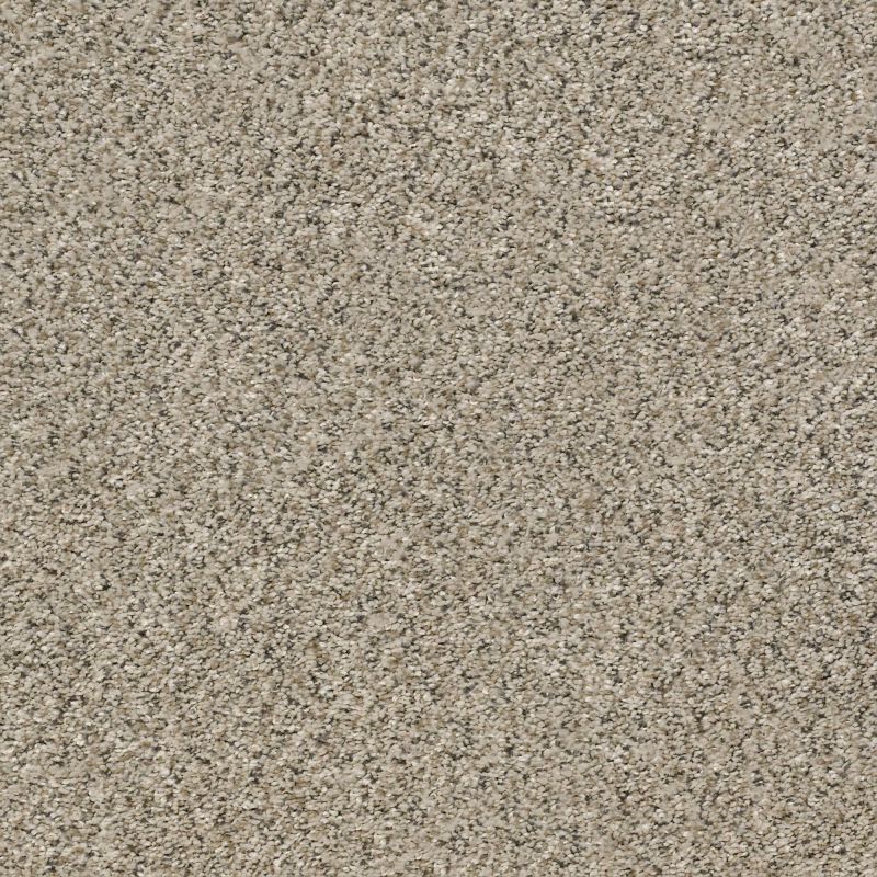 Shaw Floors Nfa Watts Up II River Rock