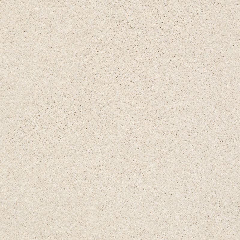 Shaw Floors Nfa Rule Breaker Snowfall
