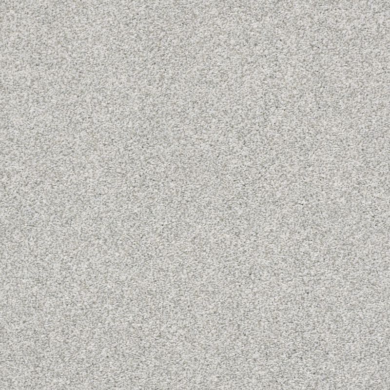 Shaw Floors Nfa Just A Touch I Mist