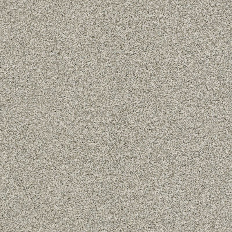 Shaw Floors Nfa Just A Touch I Flax