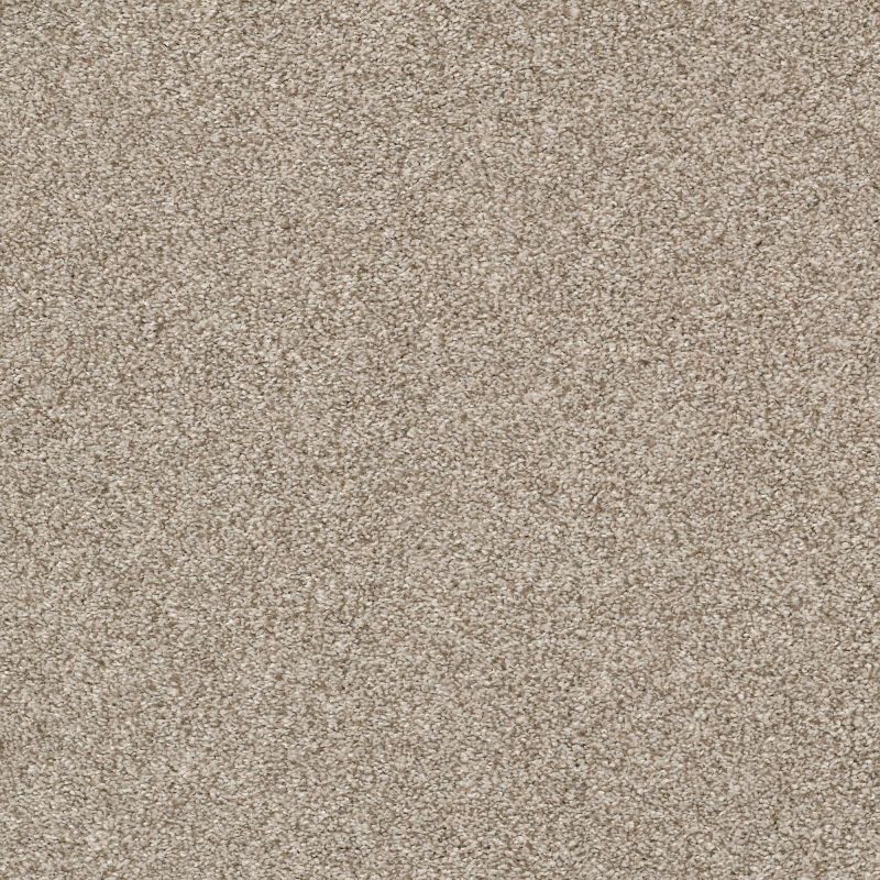 Shaw Floors Pet Perfect Plus Just A Touch II Toast