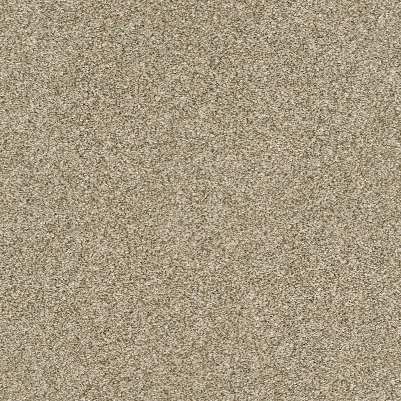 Shaw Floors Pet Perfect Plus Just A Touch II Khaki