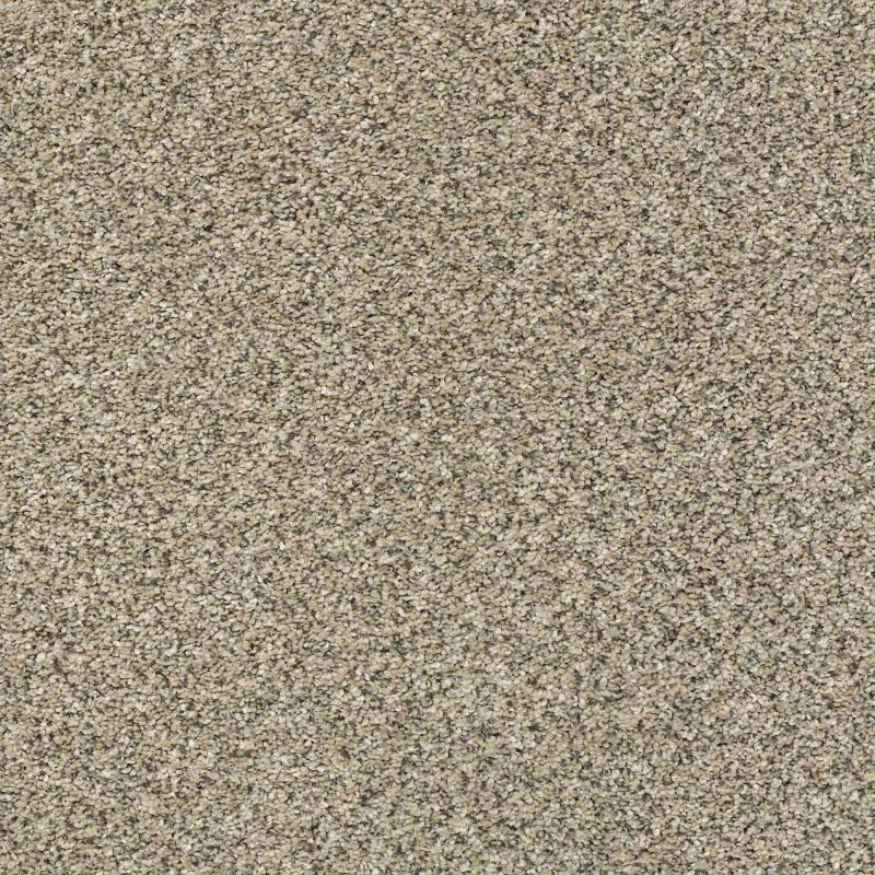 Shaw Floors Nfa Obviously II Khaki