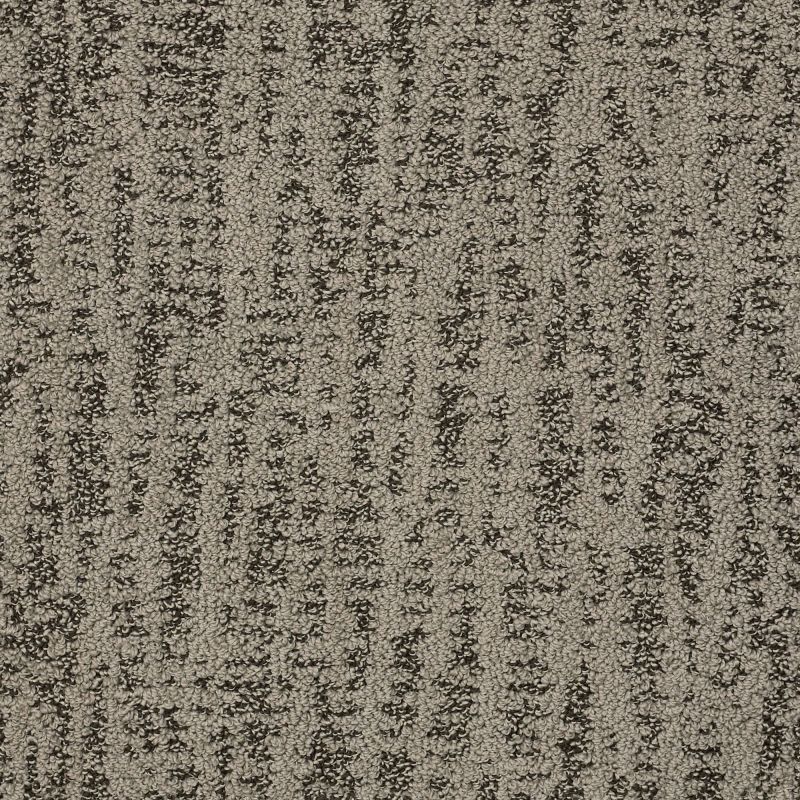 Shaw Floors Nfa Top Pick Dreamy Taupe
