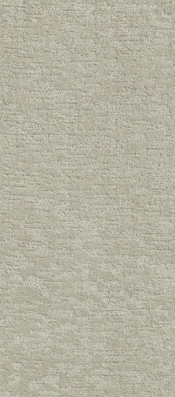 Shaw Floors Nfa That's The One Classic Taupe