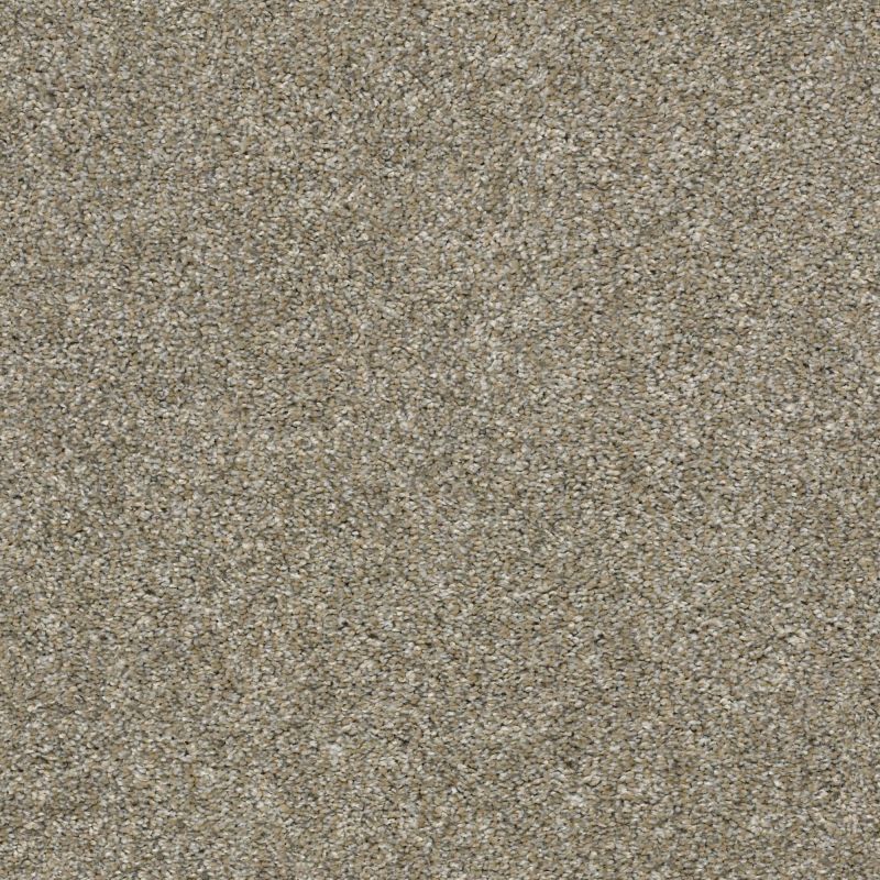 Shaw Floors Nfa You Got It I Weathered