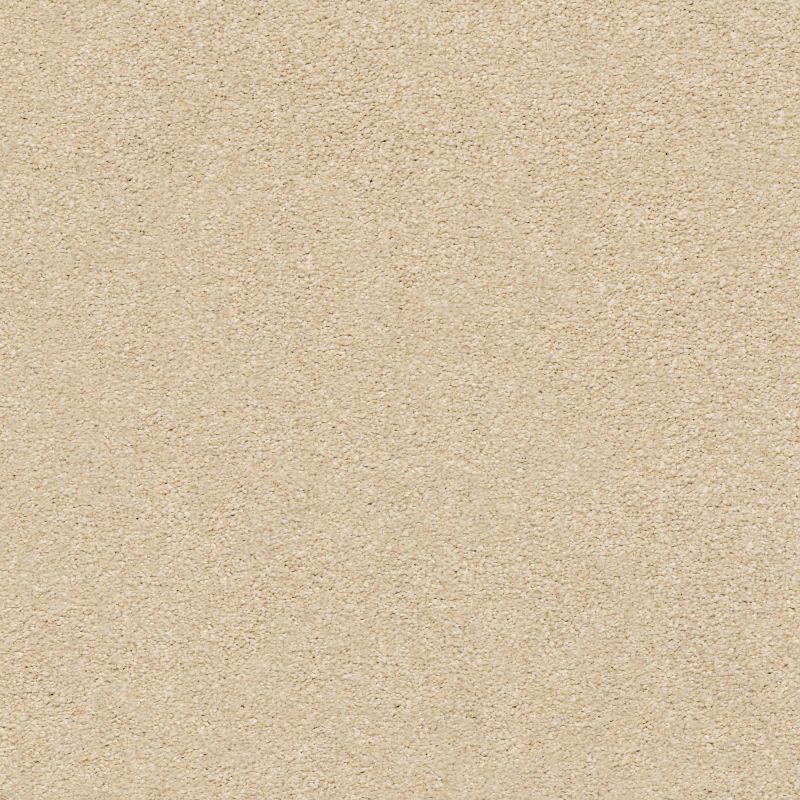 Shaw Floors Nfa/Apg Subtle Charm I Sun Kissed (s)