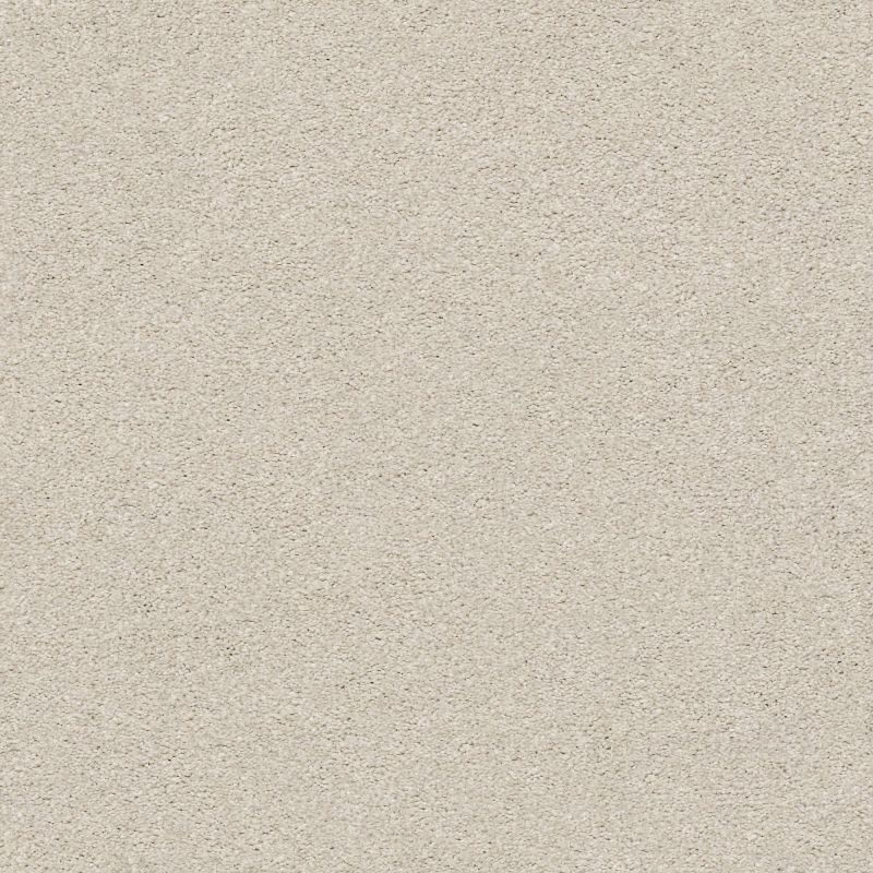Shaw Floors Nfa/Apg Subtle Charm I Need A Hug (s)