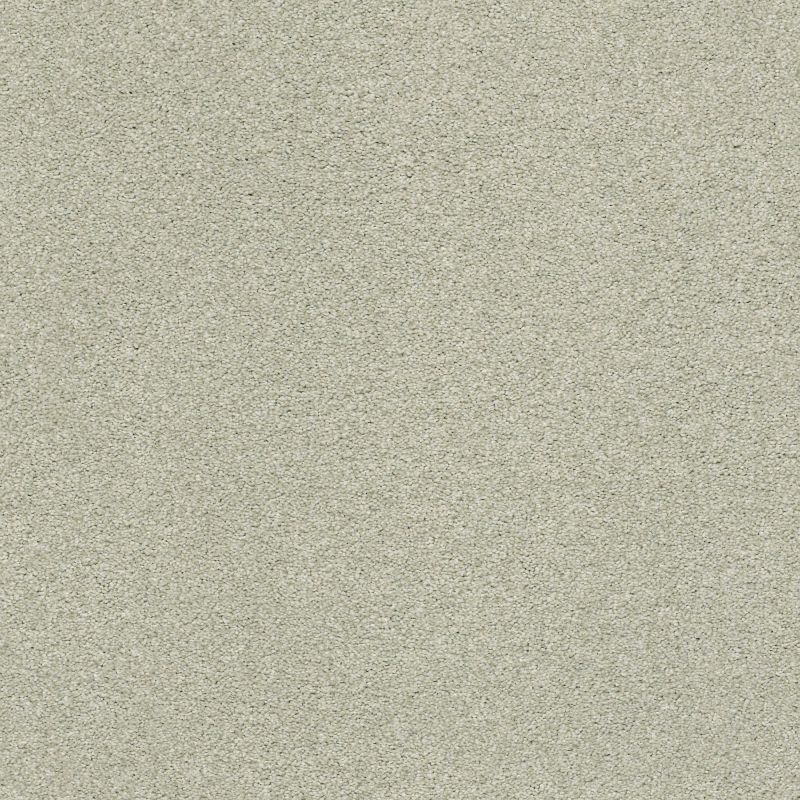 Shaw Floors Nfa/Apg Subtle Charm I Willow Tree (s)