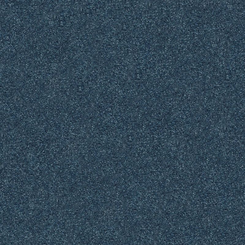 Shaw Floors Nfa/Apg Subtle Charm I Twilight Golf (s)