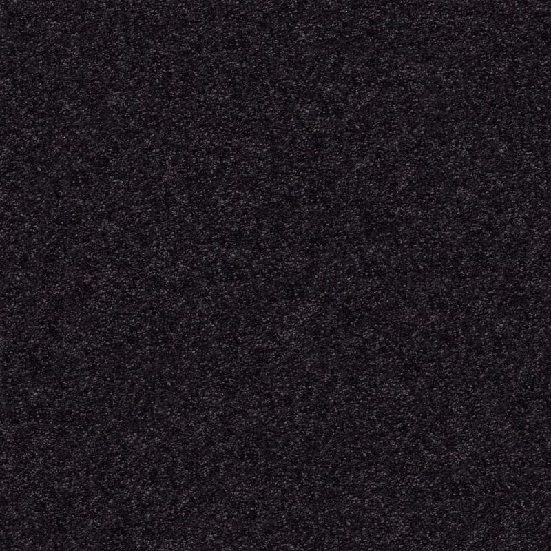 Shaw Floors Nfa/Apg Subtle Charm I Movie Night (s)
