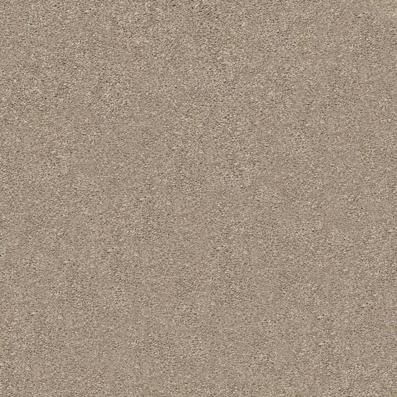 Shaw Floors Nfa/Apg Subtle Charm I Dockside View (s)