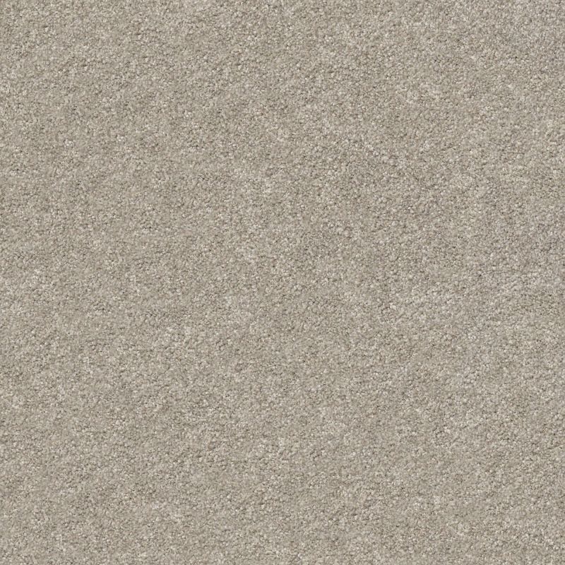 Shaw Floors Nfa/Apg Subtle Charm I Back Patio (s)